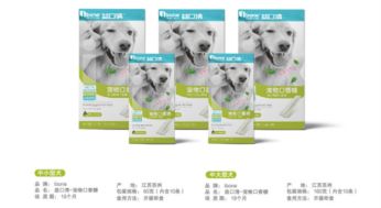 寵物用品行業新寵 iBone迅速躥紅的秘訣